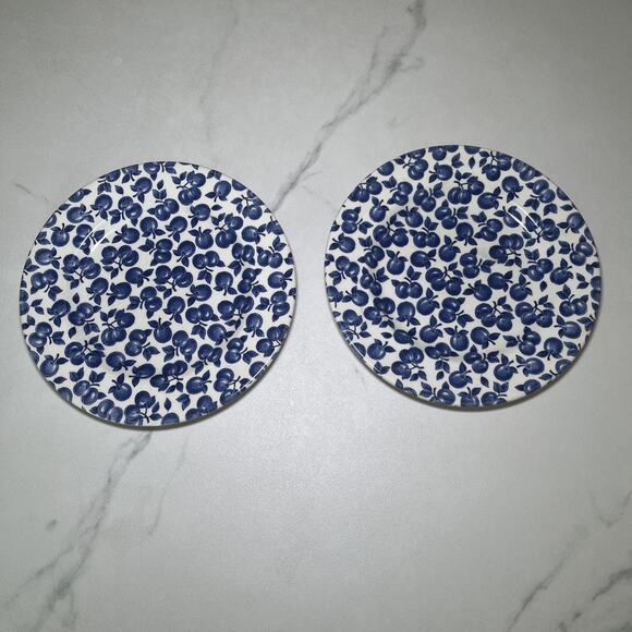 Eit Blue By English Ironstone Set (2) Blue / White Fruit Leaves 7" Plates - Picture 1 of 7